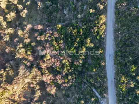 Prodaja, plac, 1850m², Zabrđe, Herceg Novi - image 6