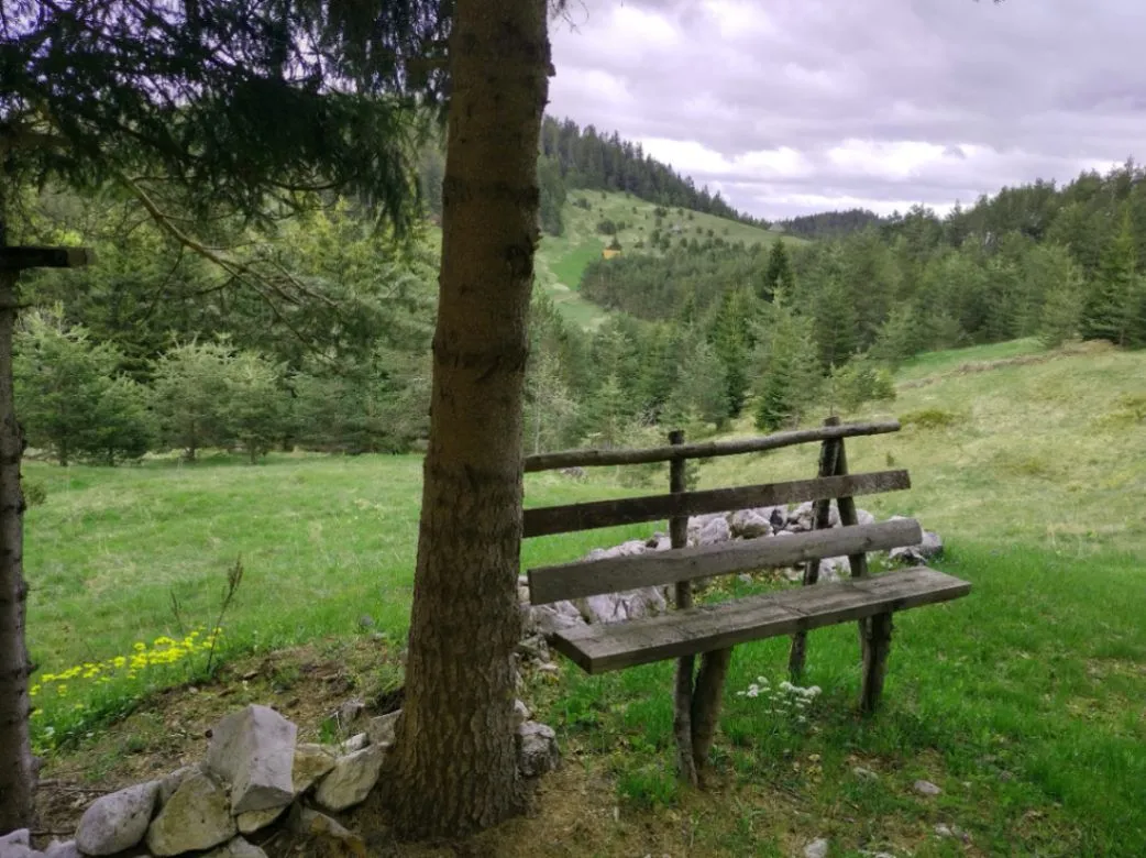 Prodaja, plac, 7000m², Tara, Srbija