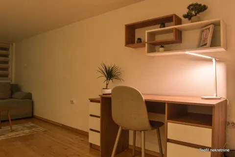 Izdavanje, dvosoban stan, 74m², Južni Bulevar, Vračar Sve Podlokacije - image 10