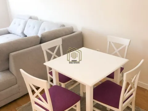 Izdavanje, jednosoban stan, 47m², Central Point, Podgorica - image 2