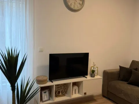 Izdavanje, jednosoban stan, 37m², Malo Brdo, Podgorica - image 12