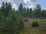 Sale, land lot, 900m², Žabljak, Crna Gora - image 1