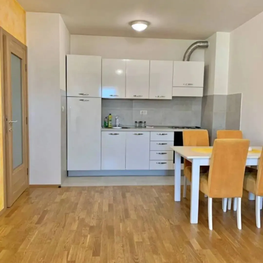 Rent, one bedroom apartment, 46m², Stari Aerodrom, Podgorica