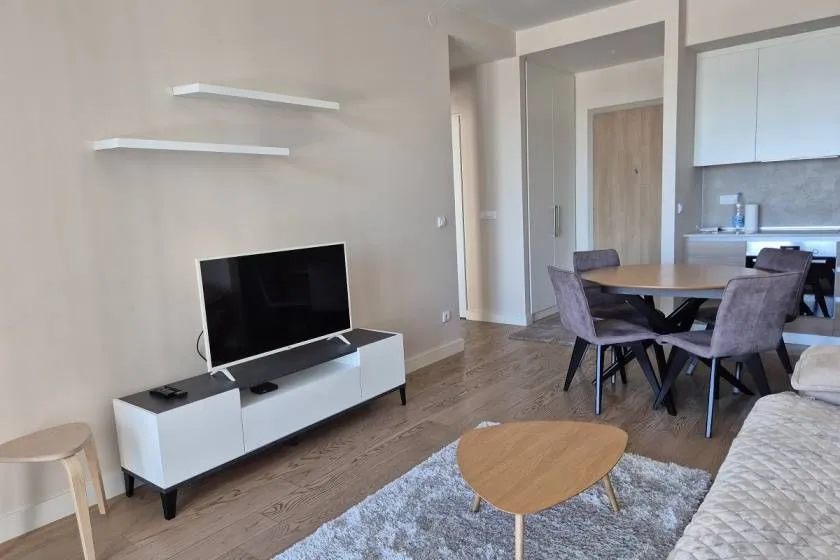 Izdavanje, dvosoban stan, 53m², Beograd Na Vodi, Beograd