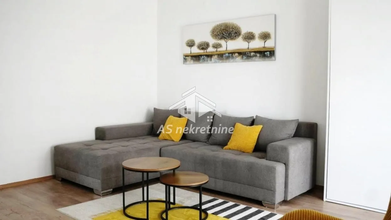 Rent, one bedroom apartment, 50m², Novi Beograd Blok 61, Novi Beograd Sve Podlokacije