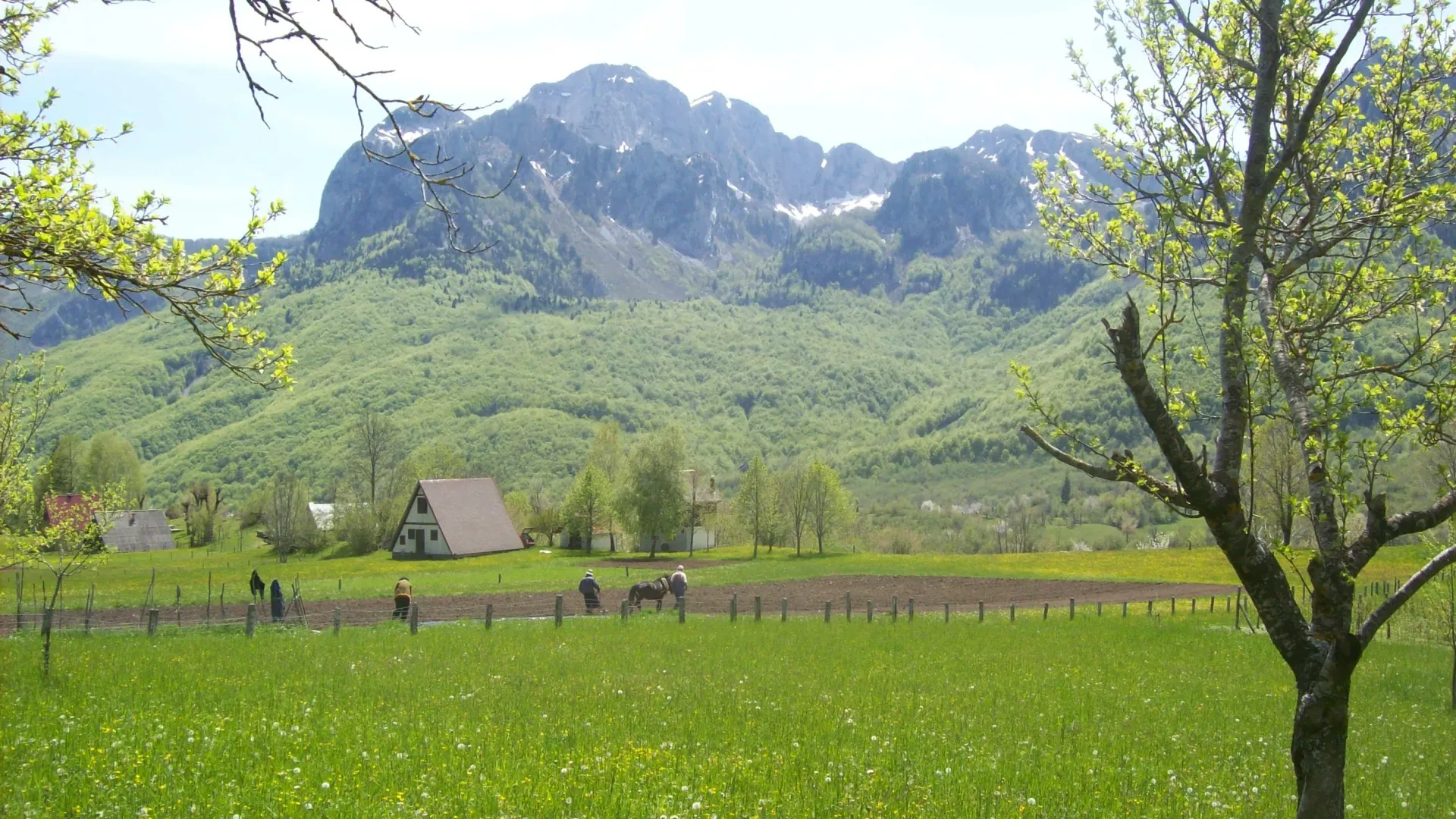Prodaja, plac, 8124m², Gornje Lipovo, Kolašin