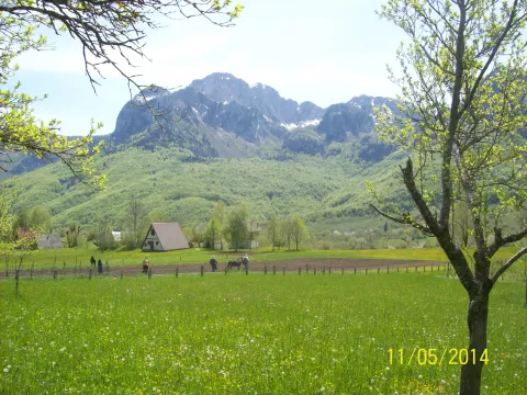 Prodaja, plac, 8124m², Gornje Lipovo, Kolašin - image 3