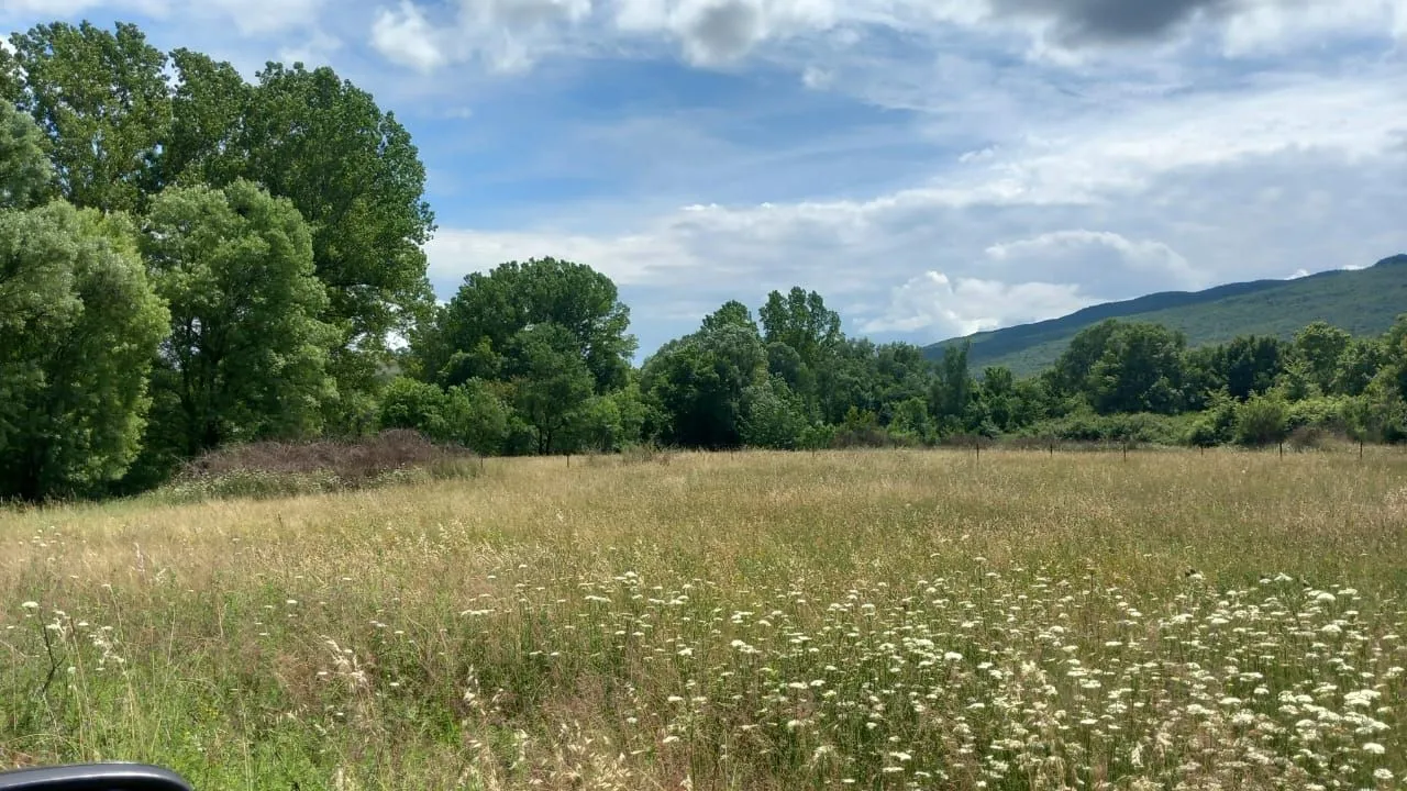 Prodaja, plac, 8500m², Podgorica, Crna Gora