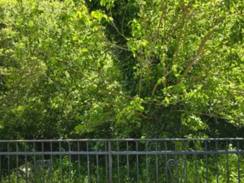 Rent, one bedroom apartment, 45m², Sutomore, Bar - image 8