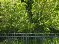 Rent, one bedroom apartment, 45m², Sutomore, Bar - image 8