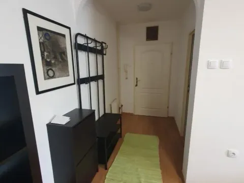 Izdavanje, dvosoban stan, 54m², Grbavica, Novi Sad Sve Podlokacije - image 7