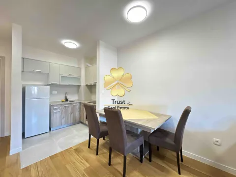 Izdavanje, jednosoban stan, 41m², Central Point, Podgorica - image 3