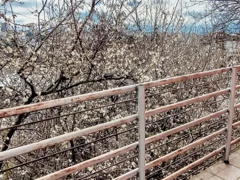 Prodaja, dvosoban stan, 60m², Bulbulder, Zvezdara Sve Podlokacije - image 10