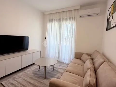 Rent, one bedroom apartment, 35m², Zabjelo, Podgorica - image 4