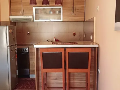 Rent, studio apartment, 32m², Vezirov Most, Podgorica - image 3
