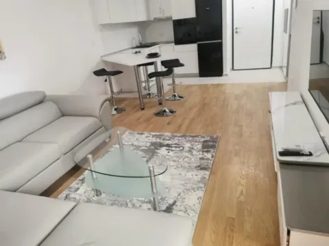 Izdavanje, jednosoban stan, 48m², Stari Aerodrom, Podgorica - image 2