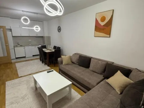 Izdavanje, jednosoban stan, 47m², Stari Aerodrom, Podgorica - image 7