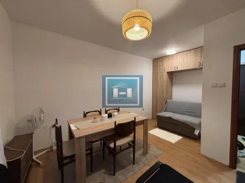 Izdavanje, garsonjera, 19m², Centar, Jagodina - image 1