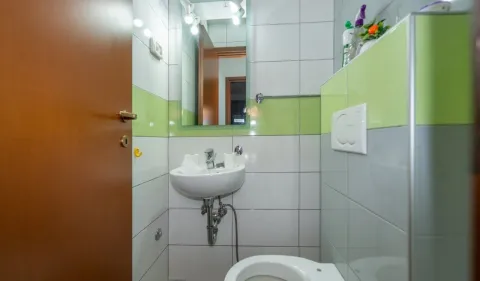 Manje kupatilo sa umivaonikom, ogledalom i WC šoljom. - image 12