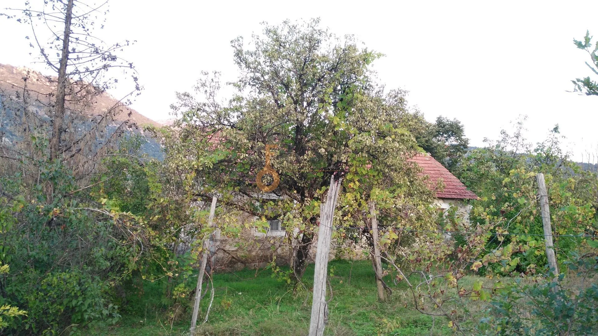 Prodaja, plac, 28000m², Danilovgrad, Crna Gora