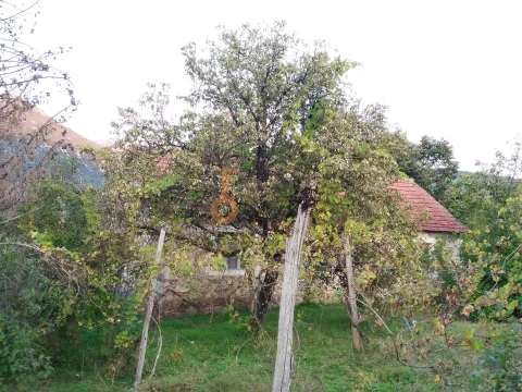 Prodaja, plac, 28000m², Danilovgrad, Crna Gora - image 2