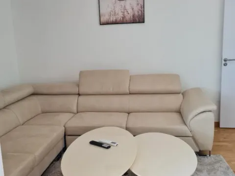 Izdavanje, jednosoban stan, 50m², Zabjelo, Podgorica - image 3