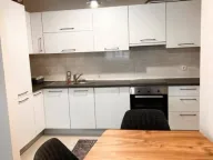 Izdavanje, jednosoban stan, 53m², Central Point, Podgorica - image 2