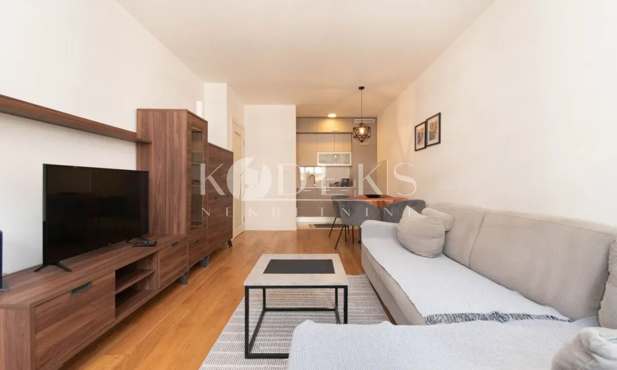 Rent, one bedroom apartment, 49m², Central Point, Podgorica