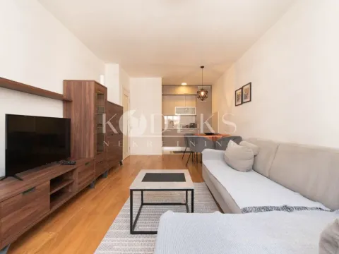 Izdavanje, jednosoban stan, 49m², Central Point, Podgorica - image 1