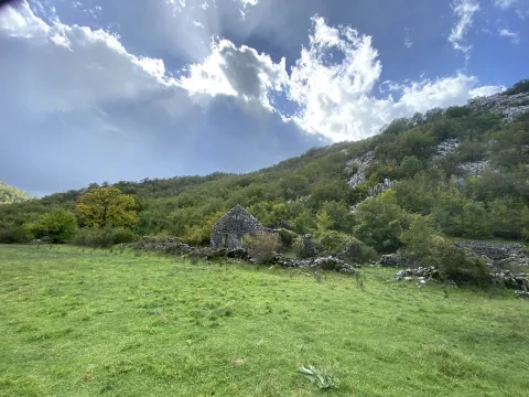 Prodaja, plac, 12000m², Grahovo, Nikšić - image 6