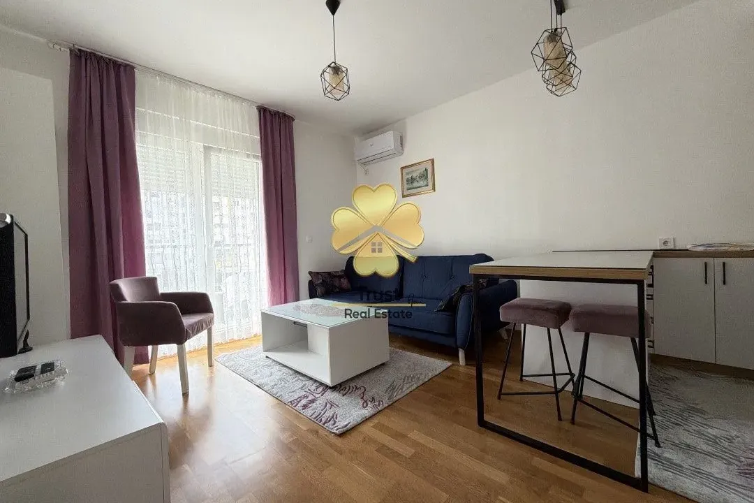 Izdavanje, jednosoban stan, 45m², Stari Aerodrom, Podgorica