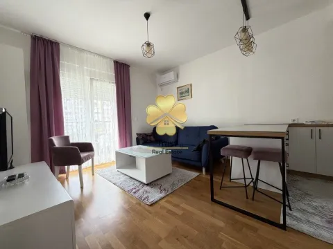 Rent, one bedroom apartment, 45m², Stari Aerodrom, Podgorica - image 1