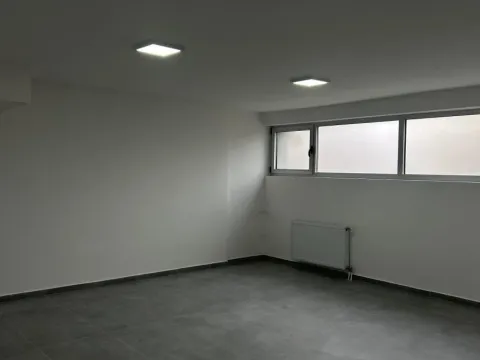 Izdavanje, poslovni prostor, 350m², Telep, Novi Sad Sve Podlokacije - image 17