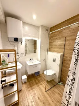 Rent, one bedroom apartment, 48m², Preko Morače, Podgorica - image 9