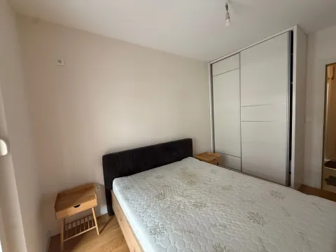 Izdavanje, stan, 42m², Central Point, Podgorica - image 3