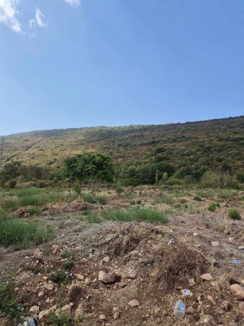 Zeleni plac sa niskim rastinjem u prizemnom predjelu ispred brda.