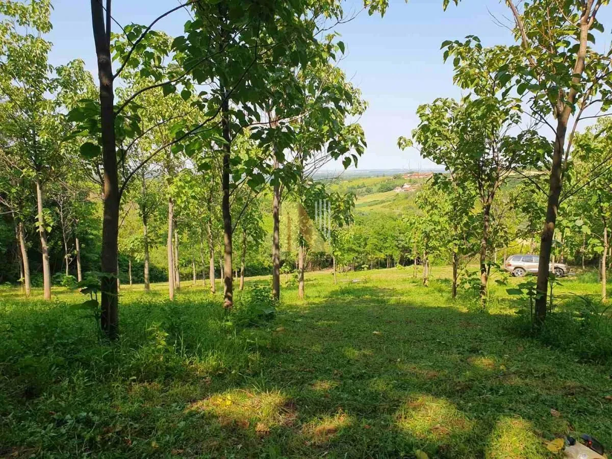 Sale, land lot, 5347m², Sremski Karlovci, Novi Sad