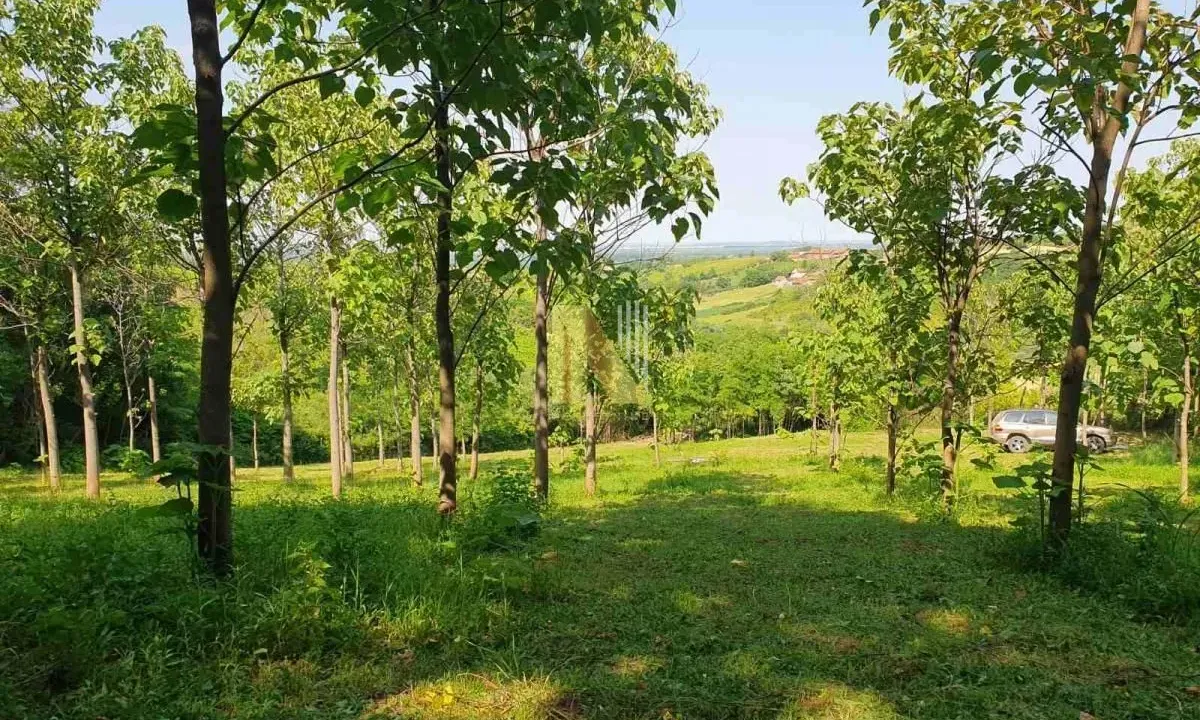 Sale, land lot, 5347m², Sremski Karlovci, Novi Sad