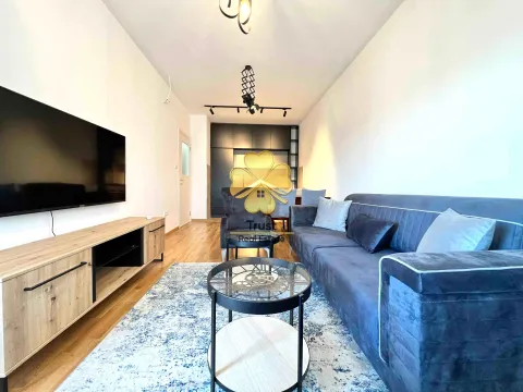 Izdavanje, jednosoban stan, 48m², Stari Aerodrom, Podgorica - image 2