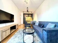 Rent, one bedroom apartment, 48m², Stari Aerodrom, Podgorica - image 2
