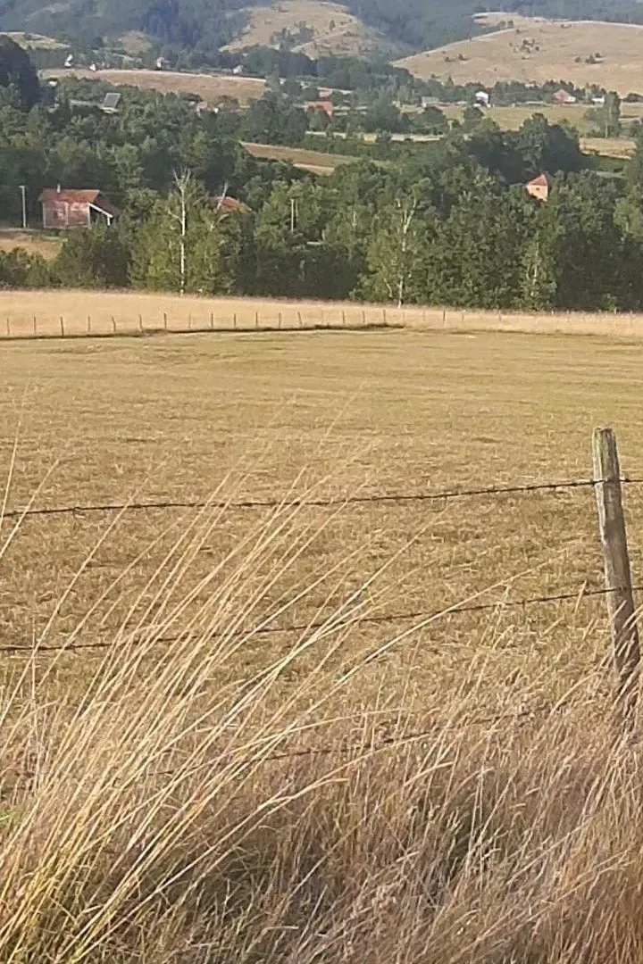 Prodaja, plac, 1000m², Tometino Polje, Požega