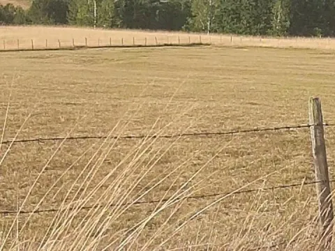 Prodaja, plac, 1000m², Tometino Polje, Požega - image 8