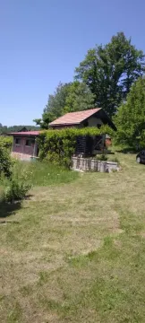 View of the yard and a single-story house surrounded by greenery and trees. - image 8