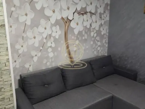 Prodaja, dvosoban stan, 49m², Erdoglija, Kragujevac - image 5