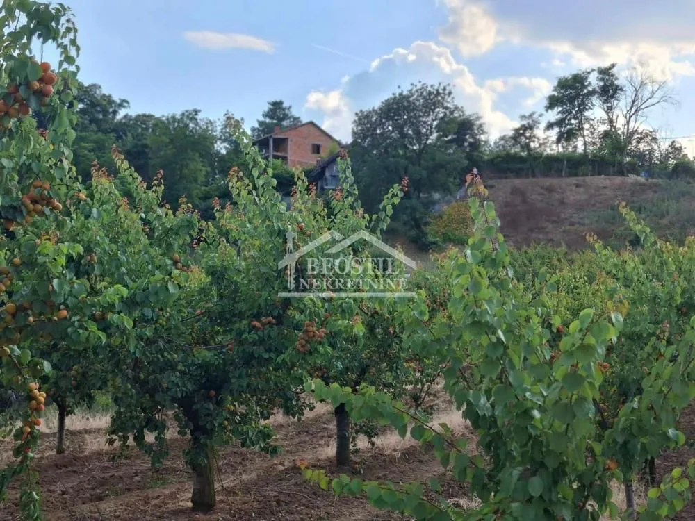 Prodaja, plac, 2900m², Grocka, Beograd