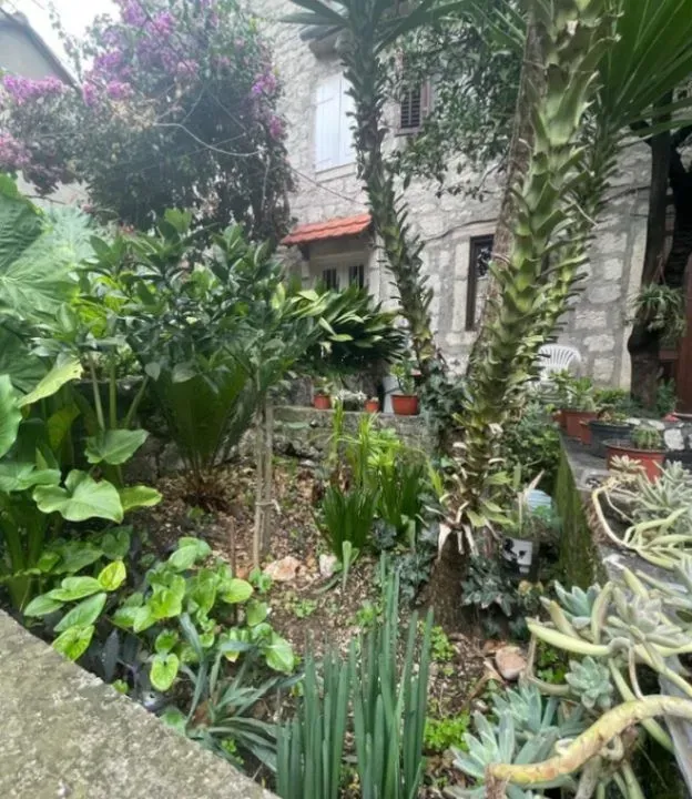 Prodaja, kuća, 55m², Perast, Kotor