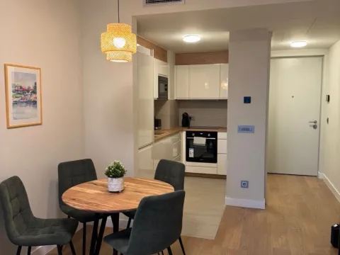 Rent, two bedroom apartment, 47m², Novi Beograd Blok 65, Novi Beograd Sve Podlokacije - image 3