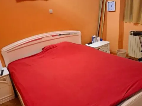 Sale, house, 210m², Podbara, Novi Sad Sve Podlokacije - image 13