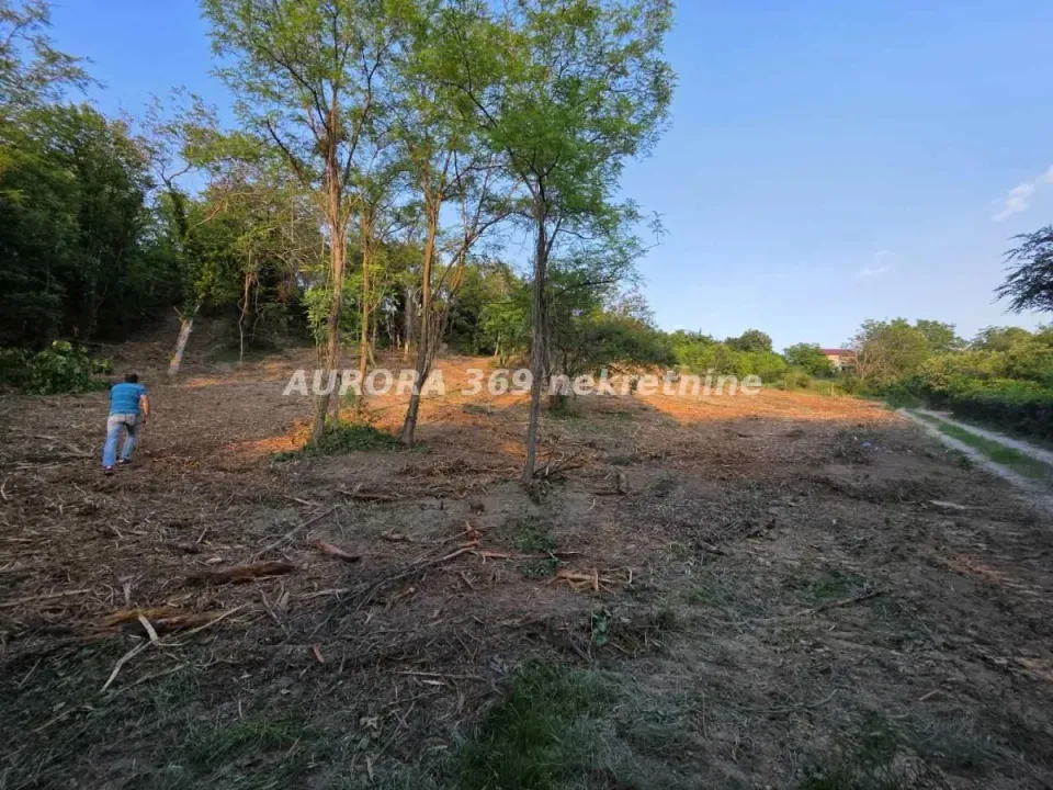 Prodaja, plac, 3729m², Sremska Kamenica, Petrovaradin
