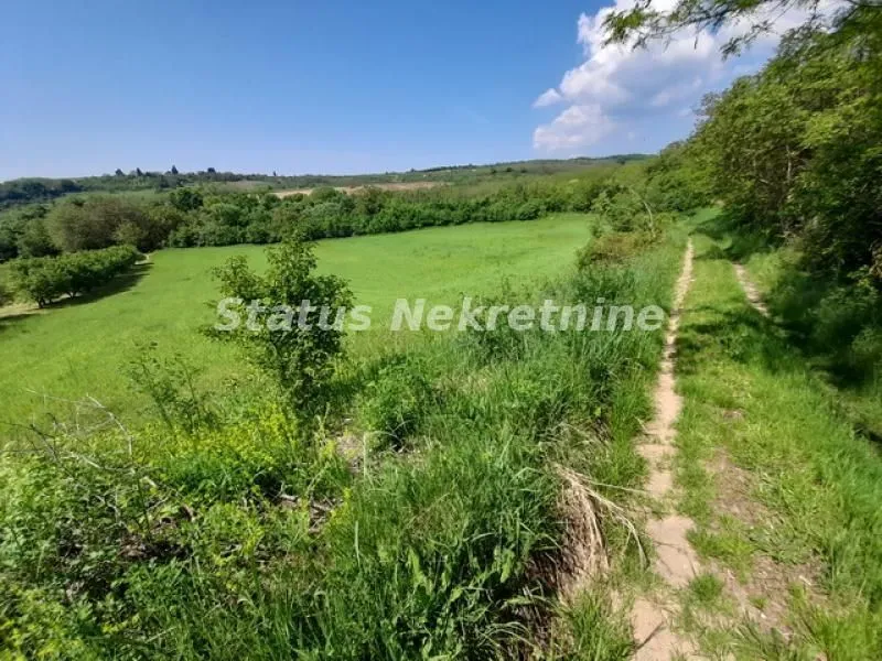 Prodaja, plac, 7500m², Irig, Srbija
